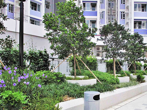 柴湾蝶翠苑的平台花园应用了零灌溉系统 2