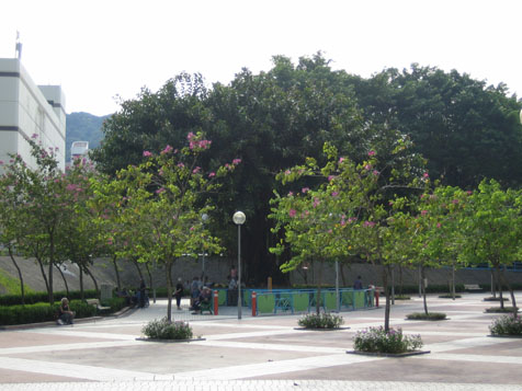 Tai Hing Estate - Bauhinia Garden 1