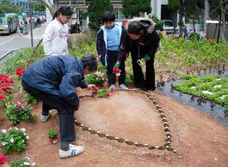 Residents, Green Ambassadors, Estate Management Advisory Committees (EMACs) members and housing staff designed the flower bed together fbdc-p3.jpg