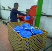 Cleansing workers transported the buckets of food waste