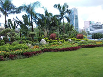 Hoi Lai Estate - Butterfly Garden 1