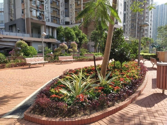 The sitting-out area is a great spot for residents to appreciate the beauty of dazzling flowers 2