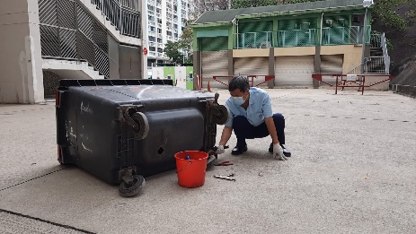 Repair old refuse collection bin 1