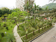 Sun Chui Estate - Palm and Terminalia Garden 2