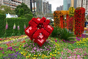 房委會於二零一四年香港花卉展覽的展品 1