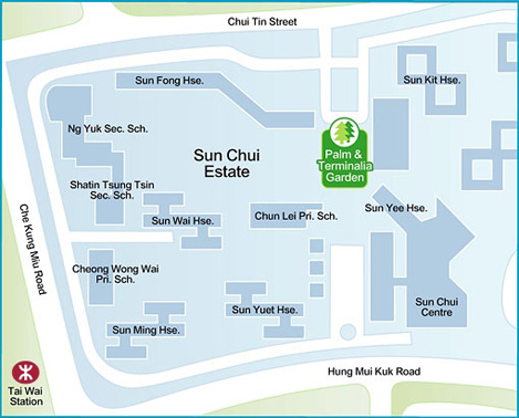 Sun Chui Estate - Palm and Terminalia Garden
