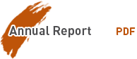 Download Annual Report in PDF
