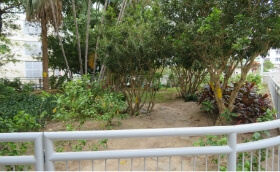 improve erosion and avoid jay walking in Tin Yan Estate - before