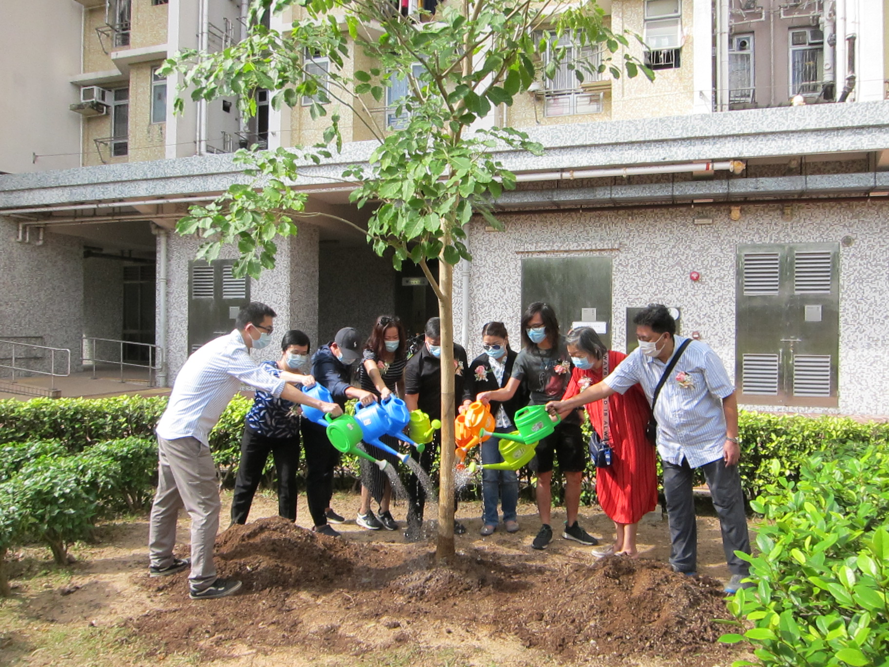 Tree Planting Day 1