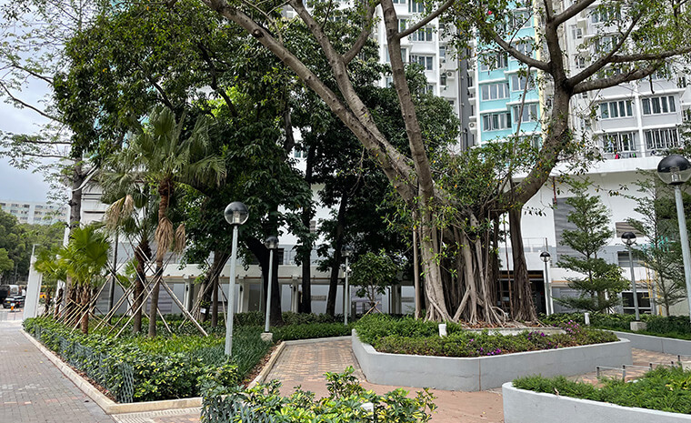 All planters at Wui Chi House, Tung Wui Estate adopt the ZIS