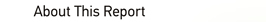 About This Report