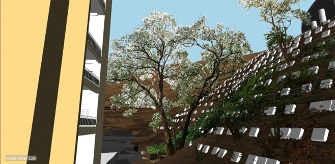 建筑信息模拟技术 与 「实境摄製」在树木保育项目中结合使用（下图）