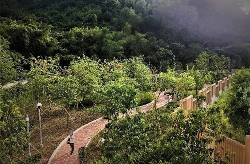 The ecological garden in Fai Ming Estate serves as a transition zone to provide the ecological resources for species from the woodland and shrubland habitats