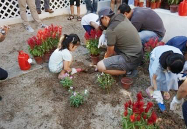 Action Seedling at Long Ching Estate