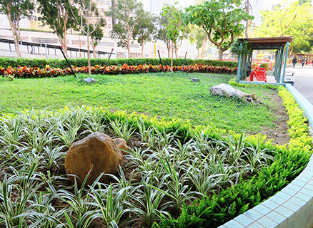 Landscape improvement project at Wu King Estate