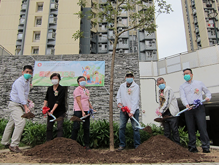 葵涌邨的植树日