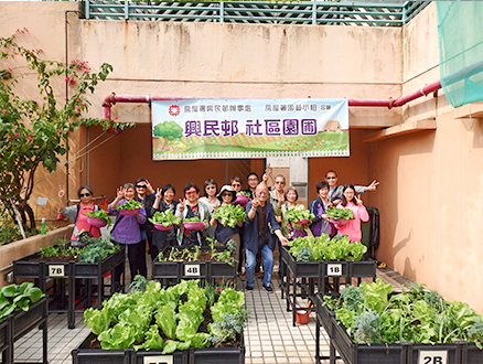 Harvesting Day at Hing Man Estate