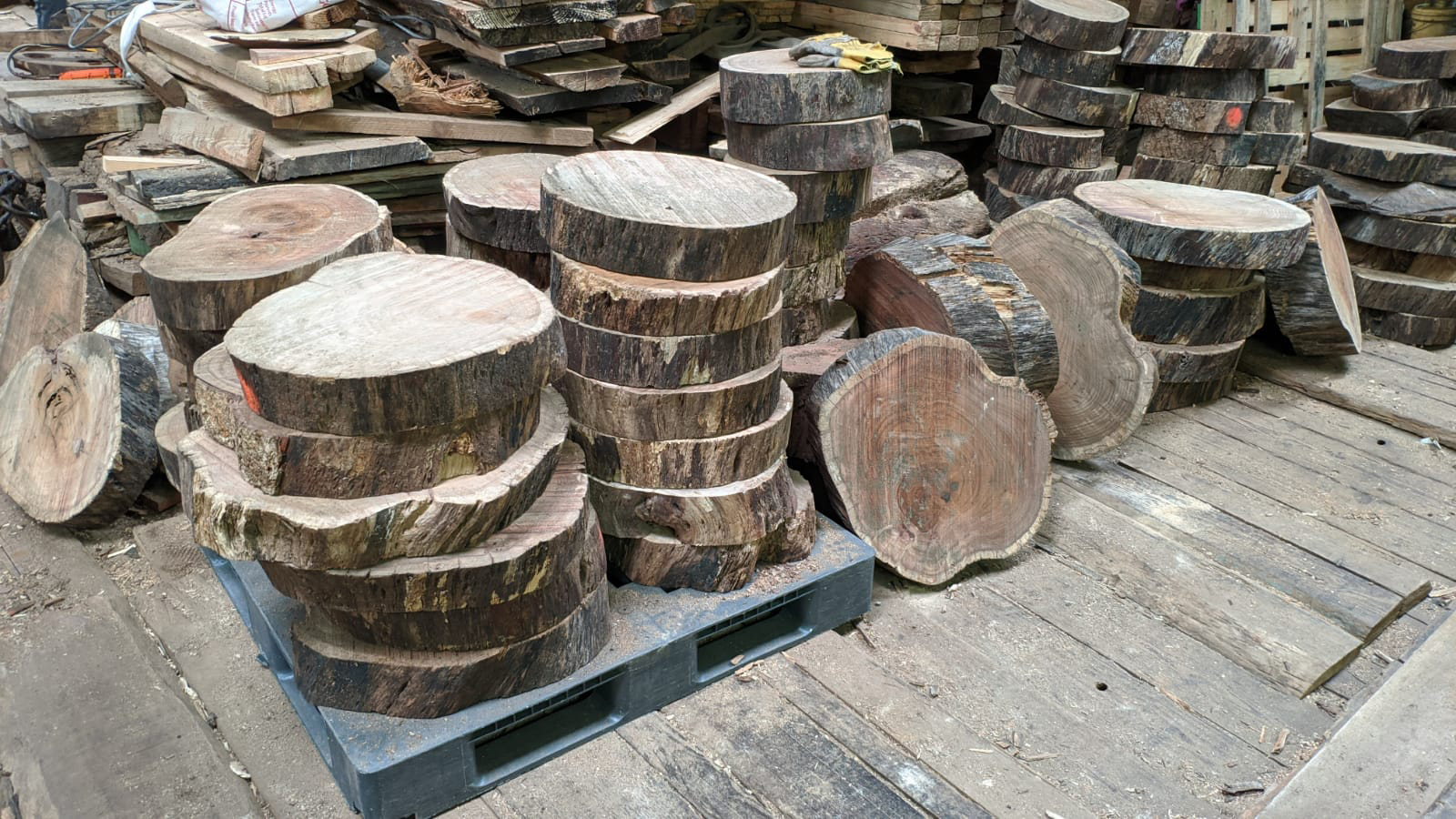 Wood slices